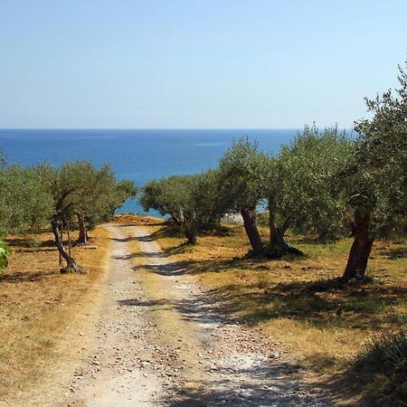 Tenuta Petreria Santo Stefano di Camastra Bagian luar foto